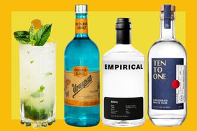 Best Rum for a Mojito, According to Bartenders