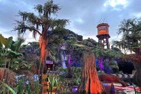 Exterior of Disney's Tiana's Bayou Adventure.