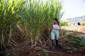 Padma Lakshmi | Taste The Nation