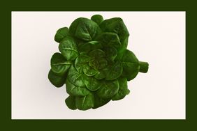 A bunch of spinach lettuce with a green border.