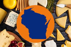 The map of Wisconsin in a photo composite with different kinds of cheese. 